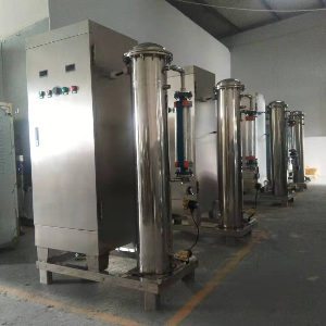 臭氧消毒設備在食品生產行業中的應用