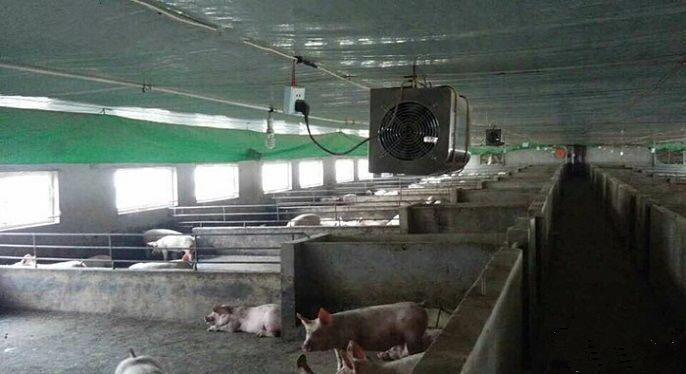 豬舍.jpg 豬舍.jpg